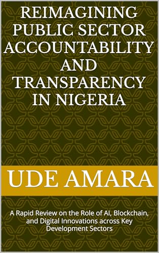 Reimagining Public Sector Accountability and Transparency in Nigeria: A Rapid