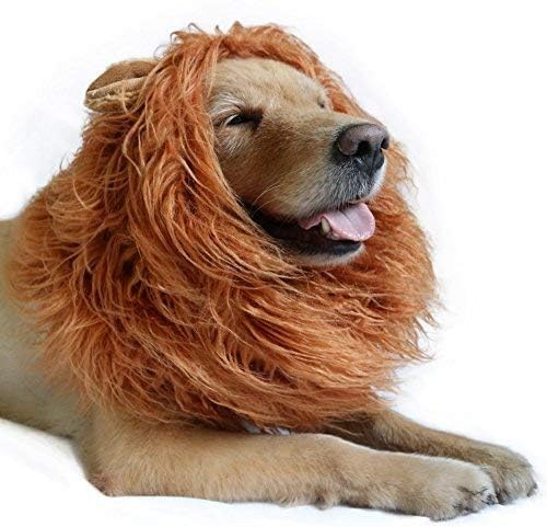 Löwenperücke Hund. Hundekostüm für Halloween und Karneval. Kostüme für, Mittlere oder Große Hunde. Haustierkostüm. Lass deinen treuen Freund den Karneval verzaubern.