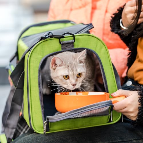 Mr. Pen- Pet Carrier for Cats & Dogs - Soft-Sided Travel Carrier Bag 9 Gertrude's Way