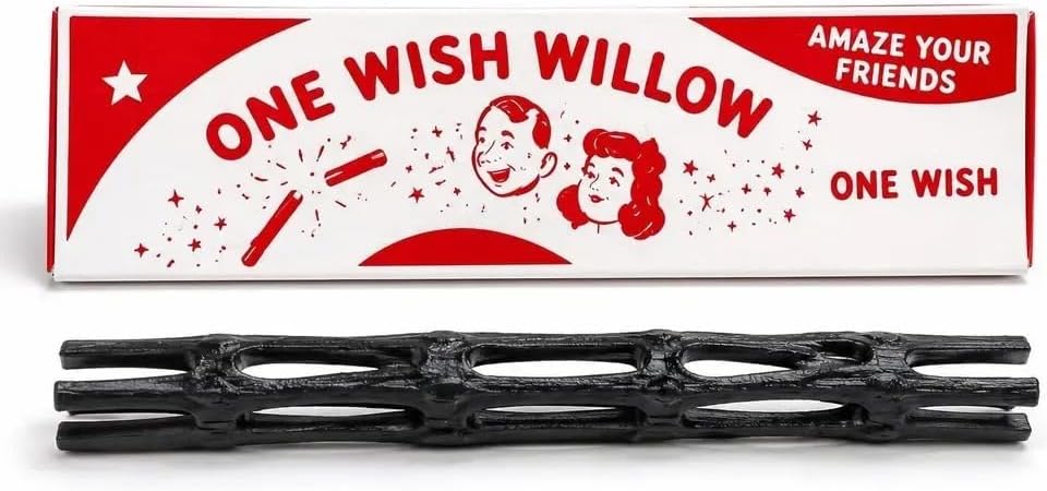 One Wish Willow Action Figure Collectible Toy from the Movie Obsession โ Authentic Movie Merchandise for Fans and Collectors