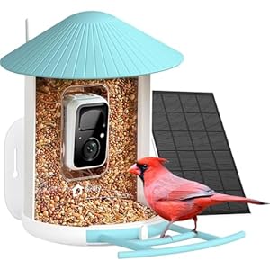 NETVUE by Birdfy Vogelfutterhaus mit Kamera,1080P HD Vogelhaus Camera für Wildvögel Futterstationen mit Solar,Mobile APP Echtzeit-Vogelbeobachtung,Automatische Erfassung,Benachrichtigungen in Echtzeit