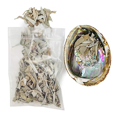 Loose Pieces Of California White Sage & An Abalone Shell Incense Holder (Abalone Shell With Loose Sage) #TOP2