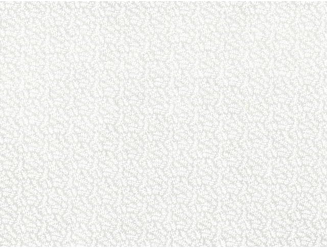 Quilt Backing Tone on Tone Floral, Print is Small Vineyard White on Tint Sold by The Yard 100% Cotton