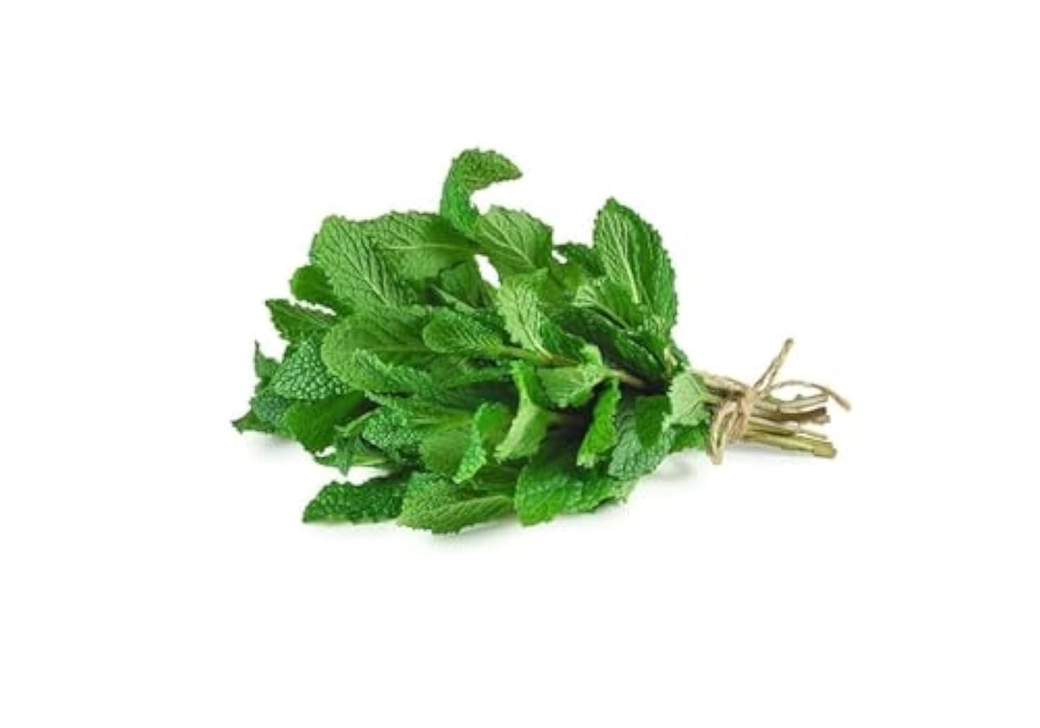 Mint Leaves Bunch | 100g (UAE)