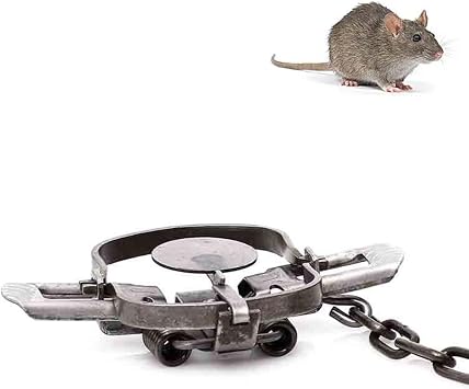 Squirrel Stand for Squirrels, Hamsters, and Small Pets - Adjustable Height & Durable Design