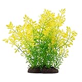 Fluval Juego de Plantas de Agua Violeta para Acuario, decoración de 20 cm