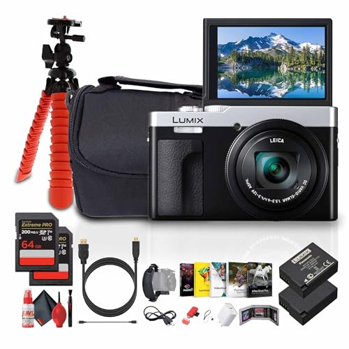 pi\jbN ZS99 Point and Shoot RpNggxfW^J(Vo[) (DC-ZS99S) + Be\tg + 64GB [J[h2 + DMW-BLG10obe[ + JobO + tLVuOr + US