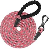 XiaZ 犬 ロングリード 5M 丸ロープ 第２代目カラビナ ロック 小型犬 中型犬 大型犬 反射素材 犬用散歩ひも 訓練用リード 犬用牽引ロープ かわいいピンク色