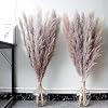 46inch tall pampas grass-E