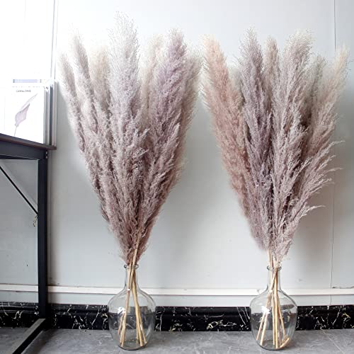 Image of Bannifll 10 PCS of 46-INCH Nature Pampas Grass - Elegant Fluffy Decor for Floor Vases. Perfect for Boho Weddings and Nature Vase Home Decor, Grey