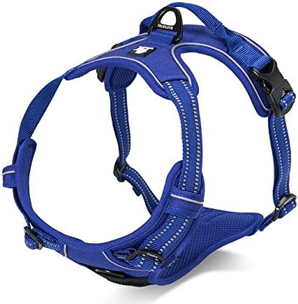 WINHYEPET True Love Dog Harness - Image 3