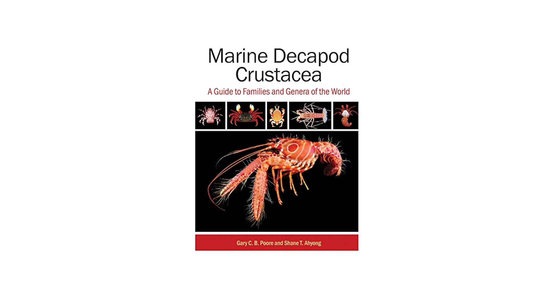 Marine Decapod Crustacea: A Guide to Families and Genera of