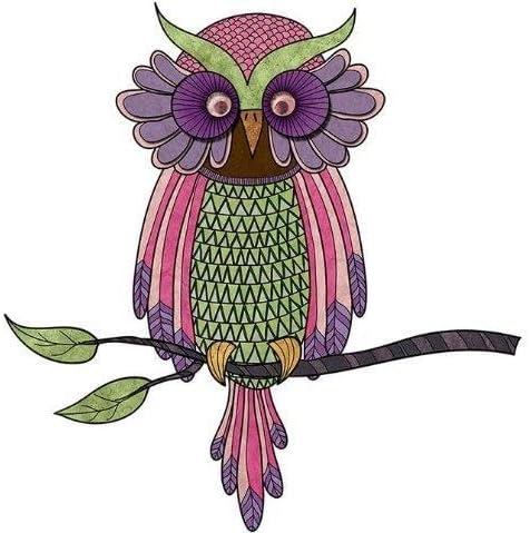 My Wonderful Walls Owl Wall Sticker Decal (Pink/Lavender/Green)