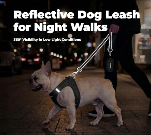 Image of Best Pet Supplies Voyager Reflective Dog Leash or Collar with Neoprene Handle, for Small, Medium, and Large Breed Puppies, Cute and Heavy Duty for Walking, Running and Training - Black (Leash), S
