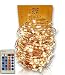 Qualizzi Starry Lights 80 Feet Xxx-long Copper Wire. Warm White 480 Leds with Remote Control Dimmer. White