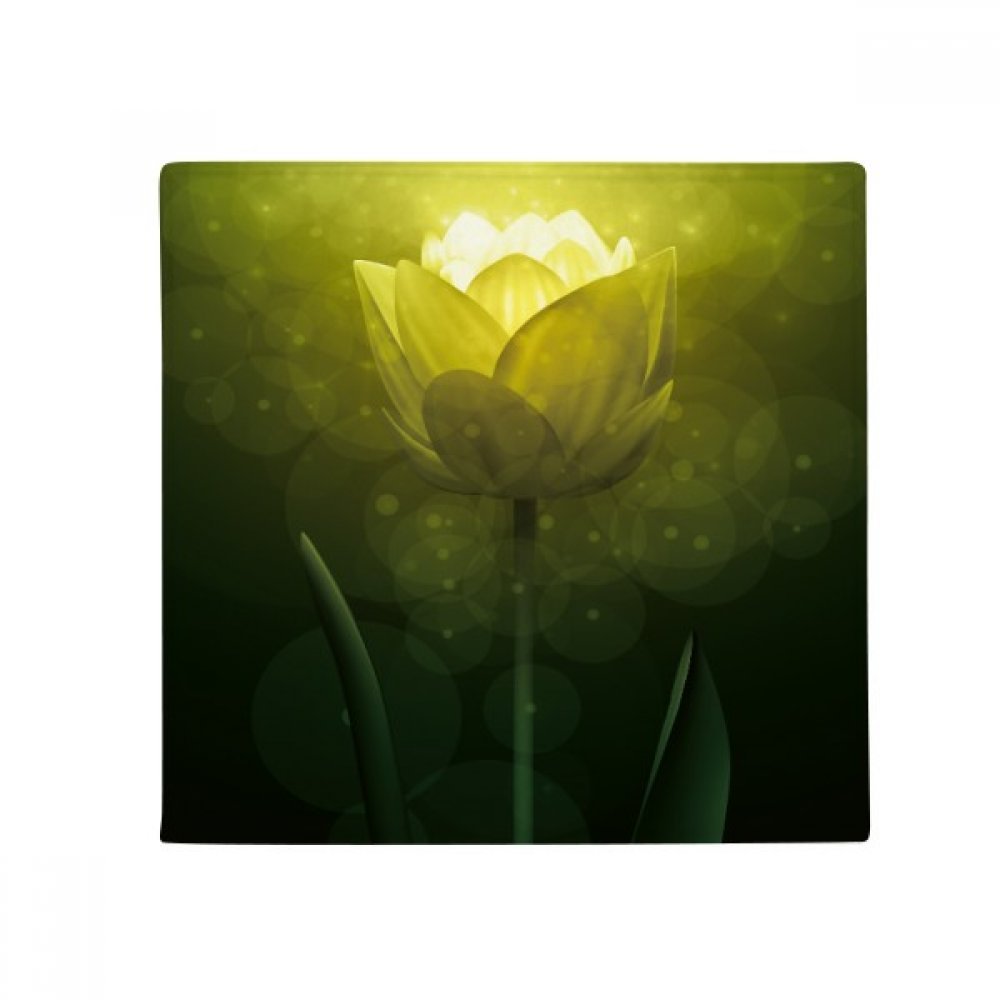 Pet Mat Tulipe Verdure Tapis pour Animaux 60X60Cm Multifonction