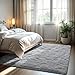 Zentavio Area Rugs for Living Room Grey Rugs for Bedroom 4x6 Carpet Fluffy Furry Soft Shag Aesthetic Plush High Pile Gray Throw Rug for Nursery Kids Room Dorm
