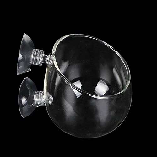 Bilindasly 1PCS Crystal Glass Aquatic Plant Cup Pot Holder, Aquatic Planter Aquarium Tank Live Plant Pot Red Shrimp Holder with Suction Cups for Fish Tank Aquarium Decor
