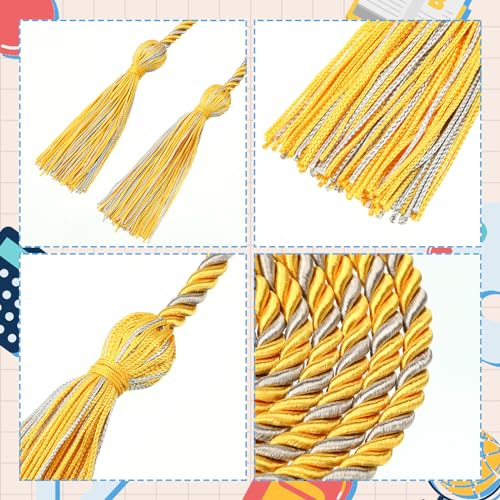 Image of TecUnite Graduation Cords Honor 2026 Polyester Yarn Decorative 67 inch Long Garland Twist Ties with Tassels for Bachelor Gown Graduation(Gold with Silver)