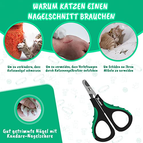 Candure Katzennagelknipser Für Haustiere Fachmann Klauenpflege Katzennagelschere Für Hunde, Kaninchen, Welpe, Ratten- Rostfreier Stahl Klauenschneider Mit Schärfsten Klingen