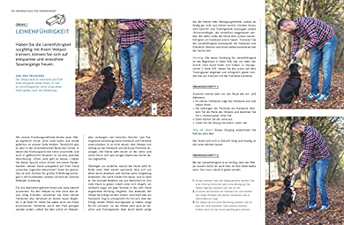 Typgerechtes Welpentraining: Der perfekte Start in die Welpenerziehung – Übungen und Tipps für jeden Welpentyp (GU Welpen)