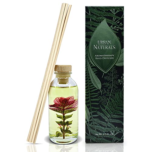 Difusor y Recarga Aromática Black Raspberry Vanilla miniatura 3