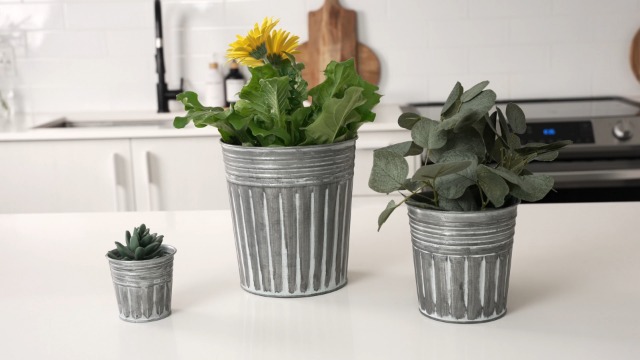 宮下将太 / silver dwarf pot planter 宮下将太 / silver dwarf pot