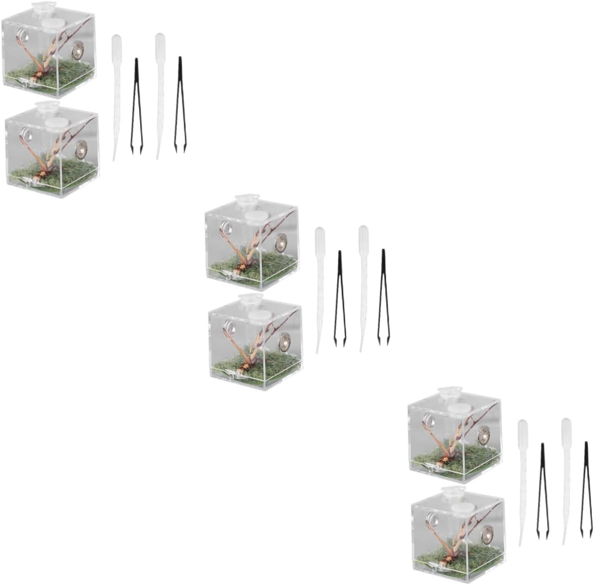 FRCOLOR 3 Sets Jumping Spider Breeding Box Jumping Spider Enclosure Accessories Spider Terrarium Spider Feeding Case Reptile Terrariums Insect Container Acrylic Storage Box Animal