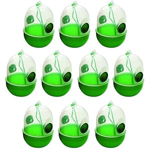 HAC24 10er Set Wespenfalle