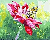 ★ La pintura al óleo se puede usar como regalo o coleccionable como decoración en la sala de estar, cocina, dormitorio, habitación infantil, oficina, restaurante o lugar público. Las pinturas abstractas en el lienzo, brillantes y multicolores, definitivamente pueden iluminar su habitación y son la mejor opción para pinturas murales simples y elegantes. ng, hadas portadoras de petróleo, libro de alambres, venta