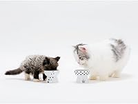 Vista 7 de Necoichi Cuenco elevado de comida para gatos, cuenco elevado de cerámica para fatiga de bigotes y cuello, apto para lavavajillas y microondas