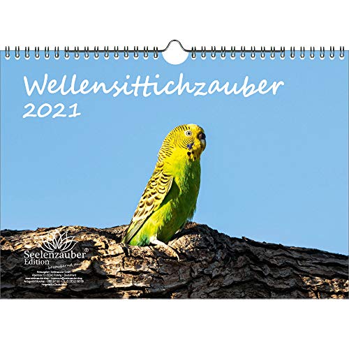 Télécharger Calendrier 2021 pour perruches ondulées - Format A4 - Coffret cadeau - Contenu : 1 calendrier, 1 ca Livre PDF Gratuit