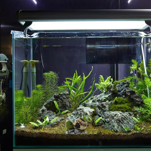 Image of POPETPOP Fish Hiding Cave, Fish Tank Decor Glass Vase Aquarium Ruins Ancient Leaning Vase Rock Broken for Betta Marine Freshwater Fish Tank Decoration