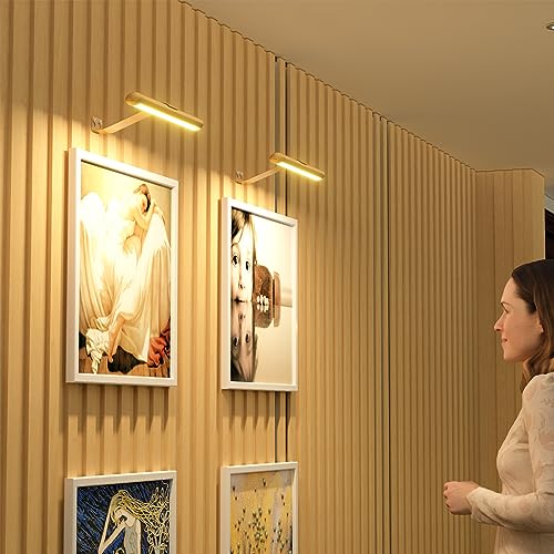 Olafus Wireless Picture Light Rechargeable Battery Operated, Remote Control Painting Lamp with Removable Tube, Infinitely Dimmable, Timer, Photo Frame Art Light, Gallery Display Wall Light, Gold