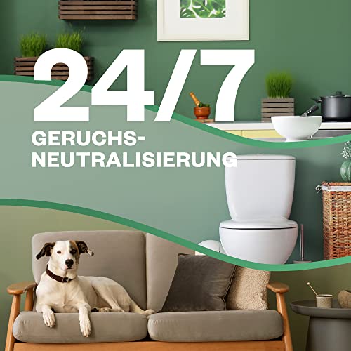 Air Wick Active Fresh – Starter Set – Aeorosolfreier, automatischer Lufterfrischer – Raumduft Frische Wäsche – 2 x 228 ml Nachfüller + Gerät