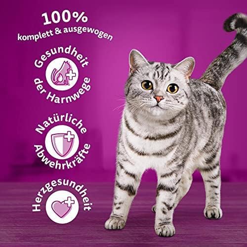 WHISKAS 7+ mit Huhn Katzenfutter Trockenfutter (2x1,9kg, Huhn)