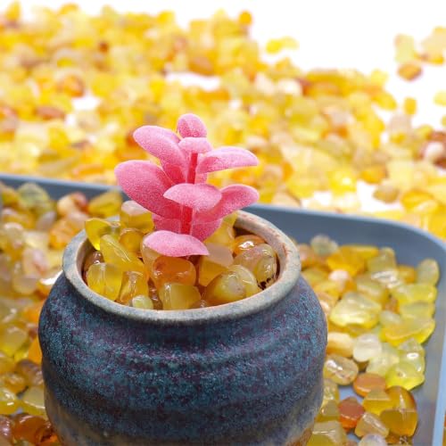 Image of WAYBER Natural Tumbled Agate Quartz Decorative Crystal Stones, 1 Lb Yellow | Lustrous Polished Finish, Rich Long-Lasting Hues, Toxin-Free Material, Perfect for DIY Crafts & Home Decor