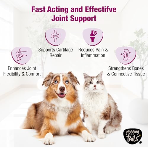 Image of Wagging Tails Bone & Joint Collagen for Dogs & Cats|Best Hip & Joint Supplement for Mobility & Pain Relief|Hydrolyzed Collagen Glucosamine & MSM|All Breeds|Unflavoured Powder 200g