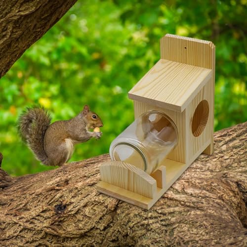 Mangeoire à écureuils en bois pour observer la nature - 6