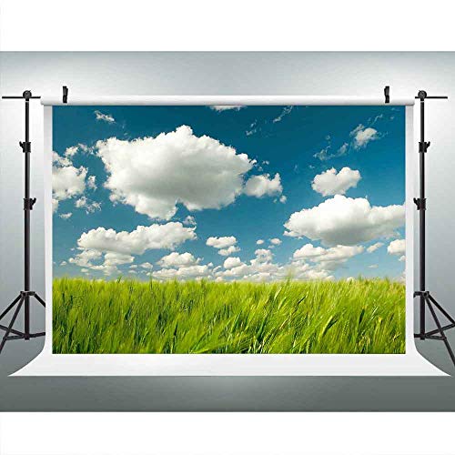 Green Grass Blue Sky Backdrops for Photography 9x6ft White Clouds Wheat Field Nature Rustic Background Nature Wonderland Backdrops Kids Children Newborn Photo Booth Props LUZZ241 Photoccall