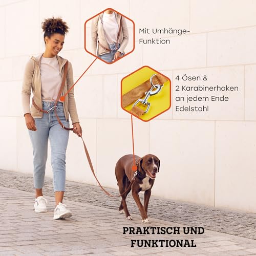 Vitazoo Hundeleine zum Trainieren - 3m - Nylon Graphit Doppelleine für kleine, mittelgroße & große Hunde - verstellbare Leinen bis 4 Verschiedene Längen - Braun