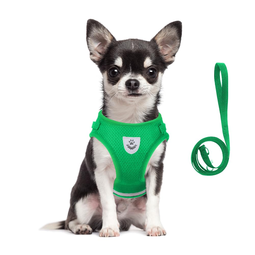 meioro Step in Dog Harness for Small Dogs and Leash Set, Adjustable No Pull Dog Harness Reflective Soft Mesh Puppy Harness Breathable Lightweight Pet Vest Harnesses for Small Dogs Cats(Green, XL)