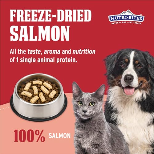 Image of Nutri Bites Freeze Dried Salmon Dog and Cat Treats, 14 oz