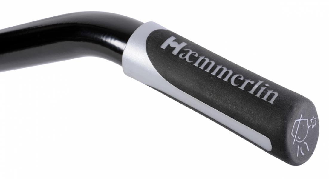 Brouette Haemmerlin Pro Select Expert Twin 160 L Peinte 2 roues gonflées -306020701