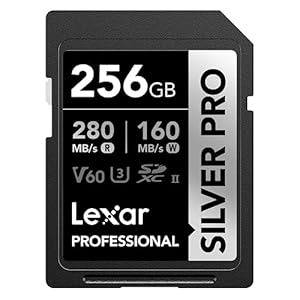 Lexar SILVER PRO SD Karte 256GB, UHS-II SD Speicherkarte, V60, U3, C10, bis zu 280MB/s Lesen, 160MB/s Schreiben, SDXC-Karte für DSLR/Kamera/Fotografen/Vide... (LSDSIPR256G-BNNAA)