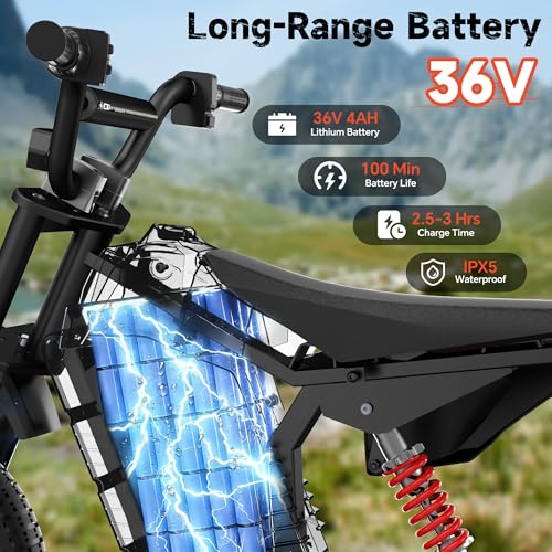 ACECRUISERS 36V Electric Dirt Bike