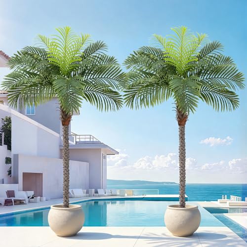 Image of 6ft Tall Artificial Phoenix Palm Tree for Outdoor Indoor Decor, Large Faux Coconut Silk Palm Tree Tropical Fake Tree Perfect for Outside Patio Poolside Home Office Decor (Set of 2)