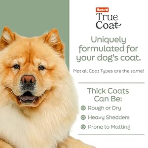 New-Hartz-True-Coat-Thick-Coat-Dog-Shampoo-Desheds-Softens-with-Oat-Milk-Coconut-Oil-Aloe - Cucciolini Doodles   New-Hartz-True-Coat-Thick-Coat-Dog-Shampoo-Desheds-Softens-with-Oat-Milk-Coconut-Oil-Aloe