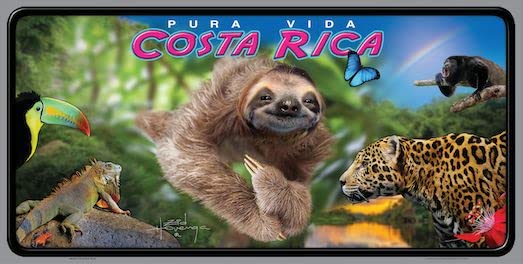 Costa Rica Novelty License Plate (Sloth)