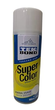 Multi-purpose,Spray paint, Surface coating on any metal, Wood, Ceramic, Plaster, Automotive vehicle like Cars and bike (White Matte)